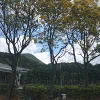 大圍至大埔單車一日遊