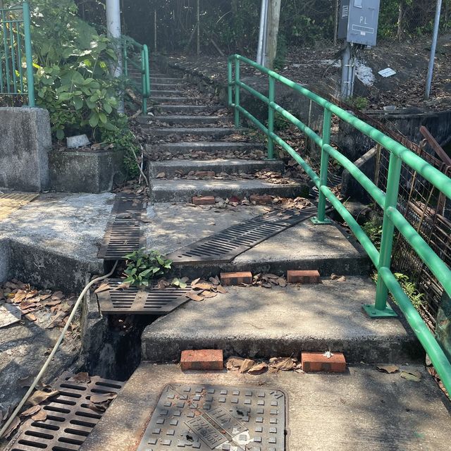 上山下水🏖🏔香港最易去的地質公園～馬屎洲🏝