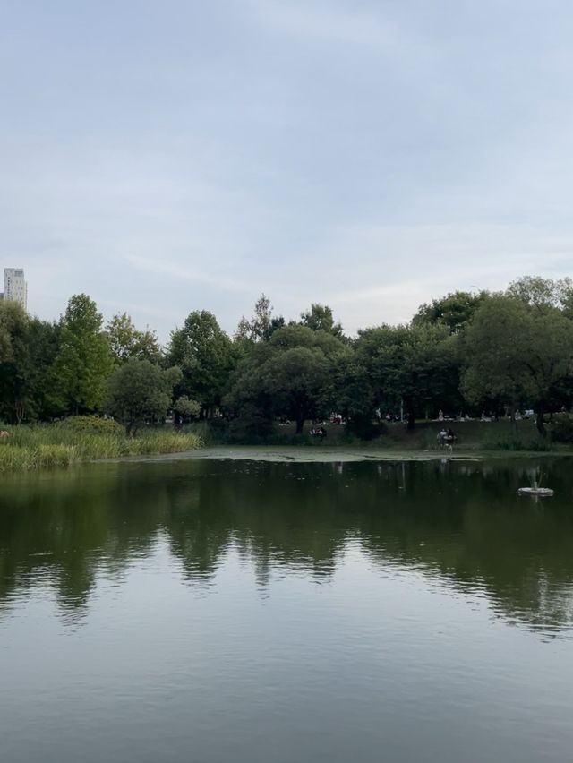 봄이라면 꼭 가줘야하는 “서울숲”🍃