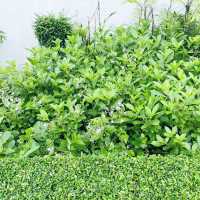 尖沙咀東海濱平台花園