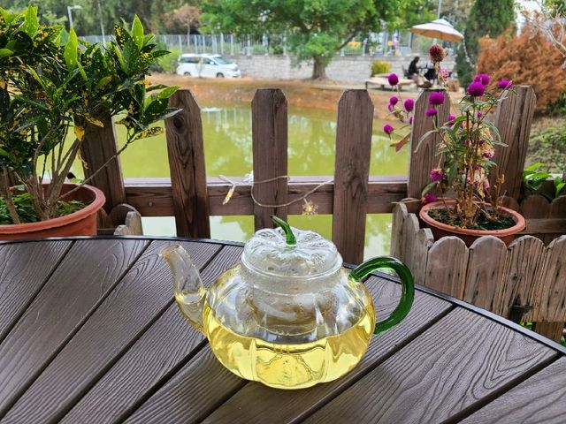 何時河地~河上鄉🍹