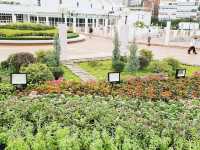 花悅滿城花卉展覽