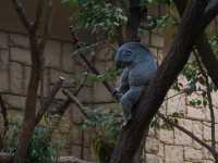 名古屋親子好去處推介《東山植物動物園》😎😎