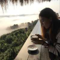 ร้าน star doi 