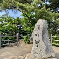 [등산 초보도 완등 가능 ] 서울 등산하기 좋은 산 추천  청계산 
