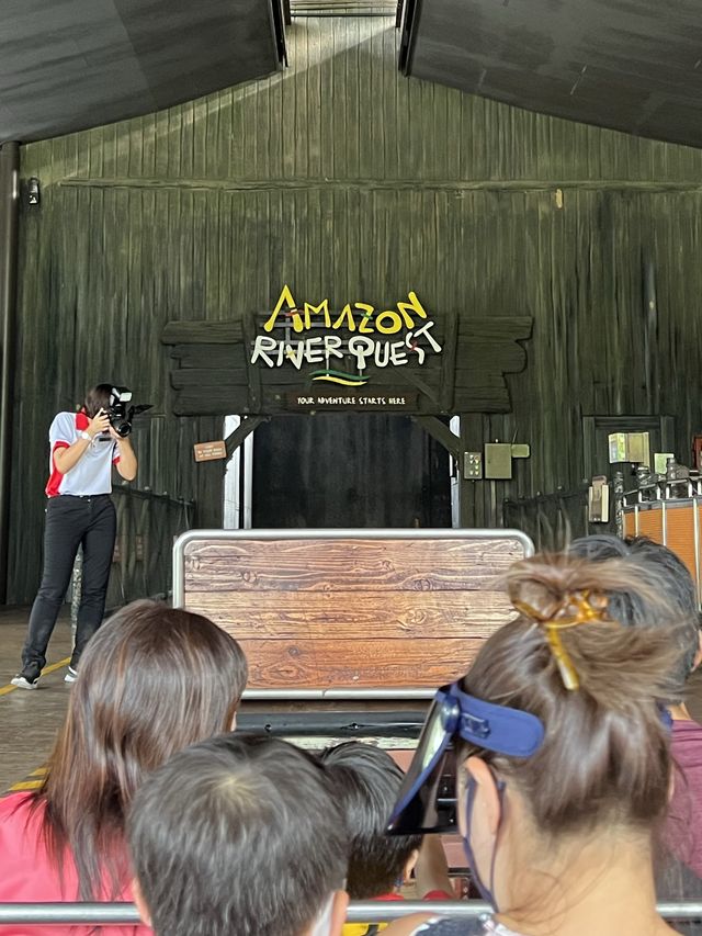 An Animal Afternoon at River Wonders 🦦 