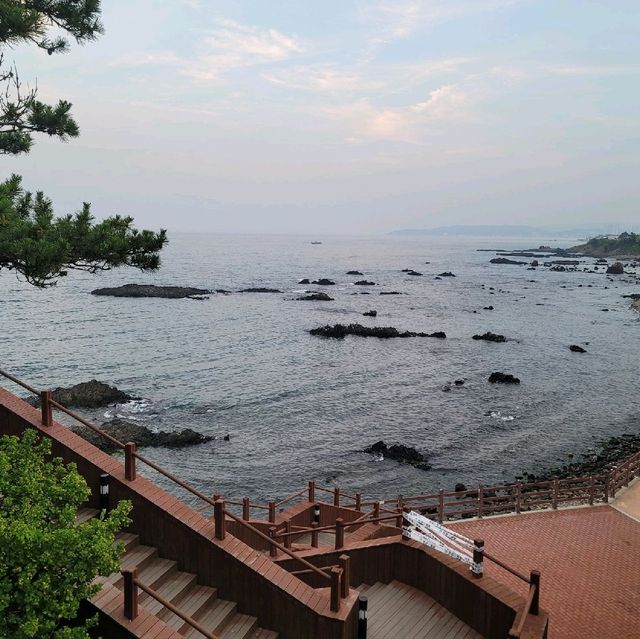 경주여행 양남 주상절리