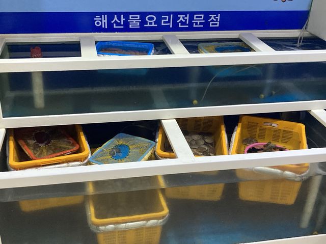 광안리 오션뷰맛집