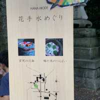 帯広神社夏詣　神秘的な緑の池と花手水🌺