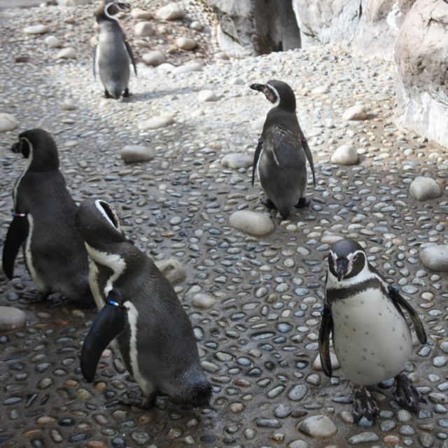 【新潟市水族館マリンピア日本海】