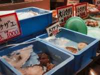 海邊享受新鮮海鮮聖地黑潮市場🐟