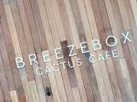 Breeze Box Cactus cafe 🌵☕🍵