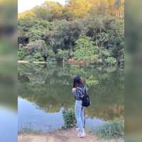粉嶺小日本流水響⛰️