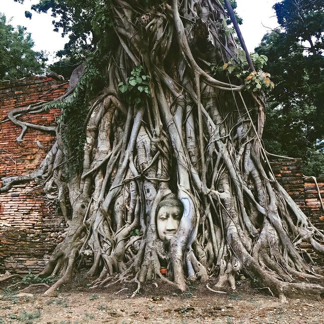 "วัดมหาธาตุ" Unseen เมืองเก่าอยุธยา มรดกโลก 🛕