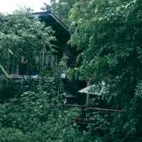 บ้านธารกล่อม นอนฟังเสียงน้ำไหลในอ้อมกอดธรรมชาติ 🌲