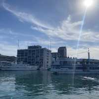 一望無際的清水港