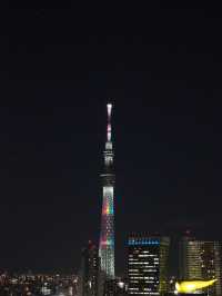 ザ・ゲートホテル雷門＊宿泊者専用の絶景展望テラス