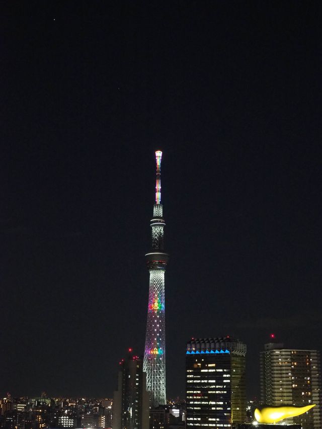 ザ・ゲートホテル雷門＊宿泊者専用の絶景展望テラス