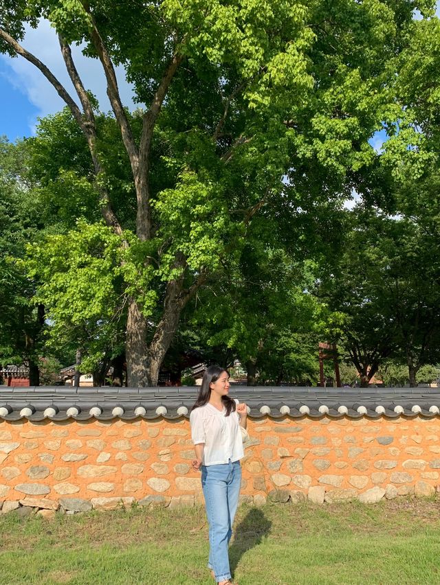 전주 필수 여행코스 추천🤎