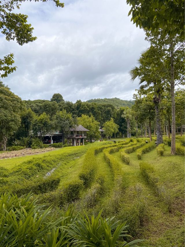 Veranda High Resort Chiang Mai