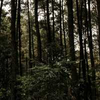 Taman Wisata Gunung Pancar