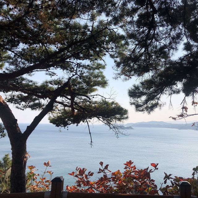 [양양] 하조대 