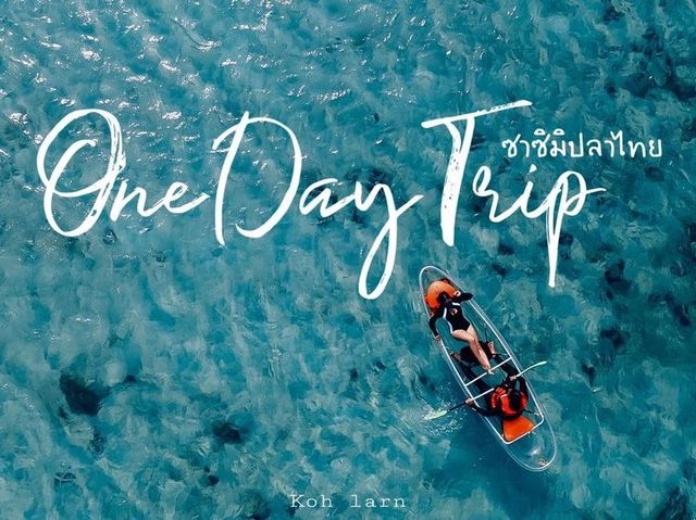 🚣🏻‍♀️ ทริปล่องเรือรอบเกาะล้าน คนละ 666฿