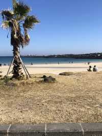당일치기 우도여행 ⛱