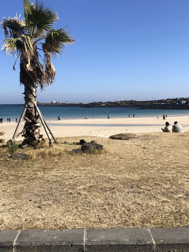 당일치기 우도여행 ⛱
