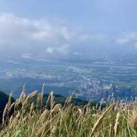 台北大屯群峰步道+季節限定芒草景觀｜主、南、西峰連走大挑戰，我完勝了！