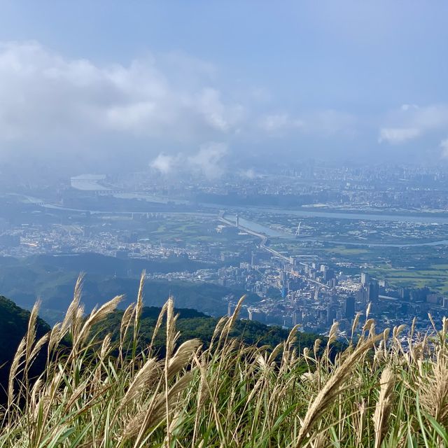 台北大屯群峰步道+季節限定芒草景觀｜主、南、西峰連走大挑戰，我完勝了！