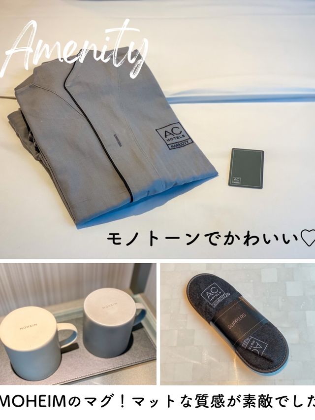 銀座お洒落ホテル