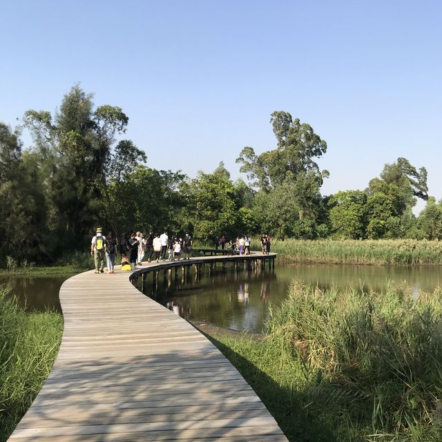 香港濕地公園