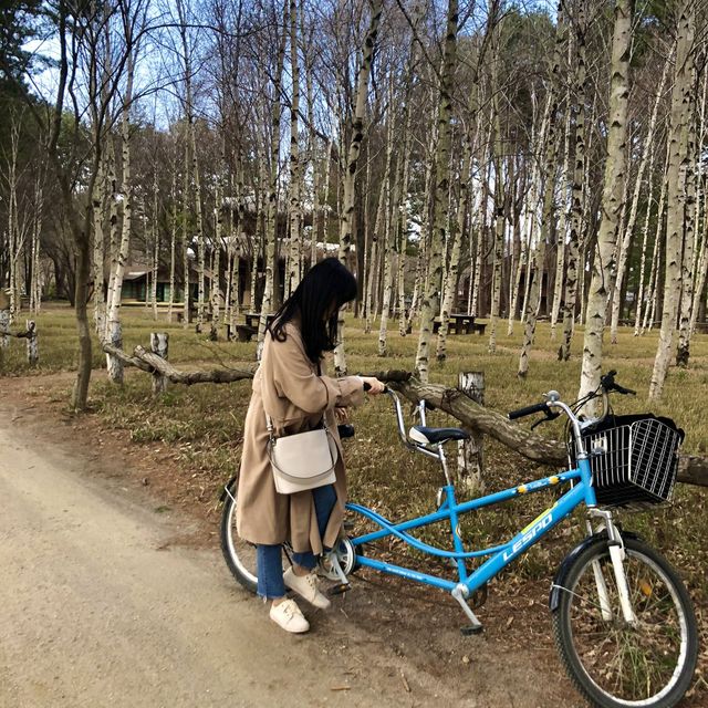 한류의 시작점, 겨울연가의 촬영지 남이섬