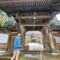 国指定登録有形文化財【青林寺客殿　御便殿　御座所】✨