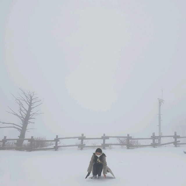 무주 덕유산 곤도라 타고 눈꽃구경!