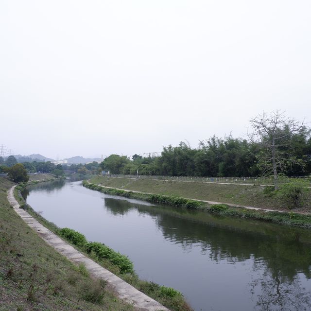 挑戰60公里屯馬單車線 