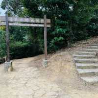 港版嵐山竹林之道