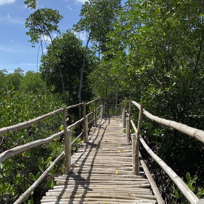 Omagieca Obo-ob Mangrove Garden