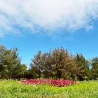 假日散步的好去處｜森林公園｜享受悠閒的一整
