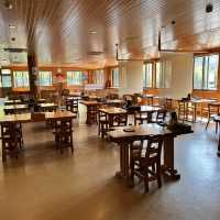 奄美大島の鶏飯といえばここ！ってくらい有名なお店「ひさ倉」