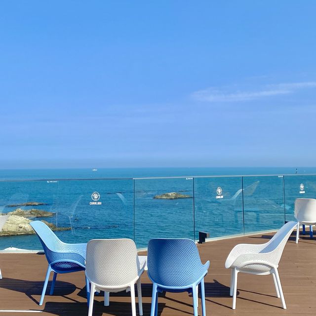 바다 뷰 대형카페 코랄라니🌊🏖