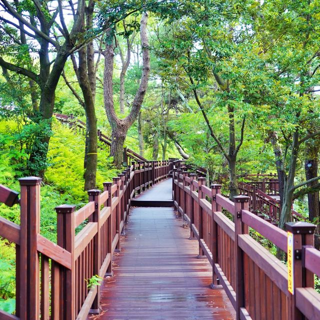 🚶 하천을 따라가는 산책길, 쇠소깍