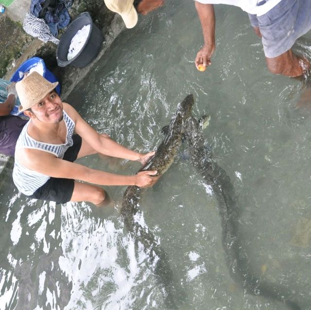 Maluku