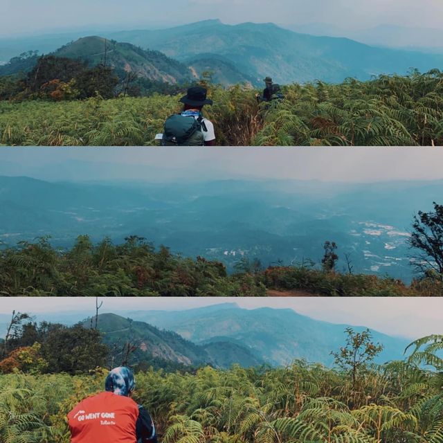 - ผาแง่ม - ในวันที่หมอกหมด