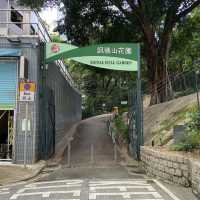 尖沙咀大包米遊