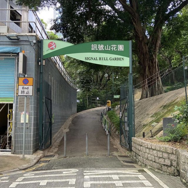 尖沙咀大包米遊