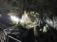 Fairy 🧚‍♀️ Cave 