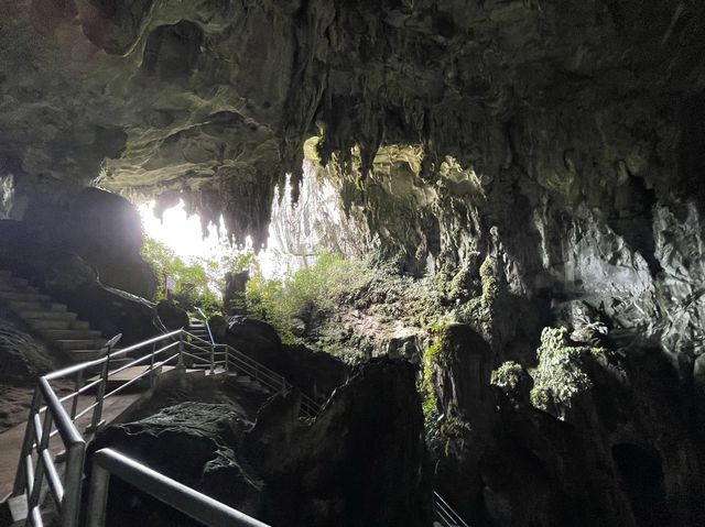 Fairy 🧚‍♀️ Cave 