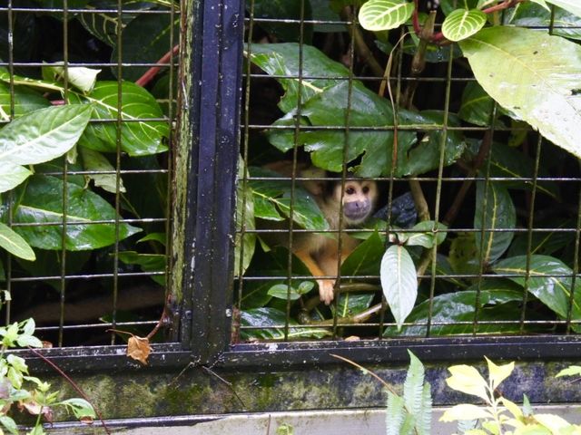 安くて広い駅近動物園🐼